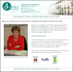 Professional web designer