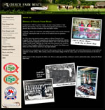 Professional web designer
