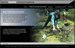 Professional web designer