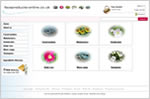Professional web designer