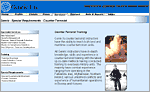 Professional web designer