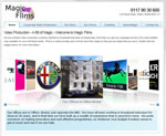 Professional web designer