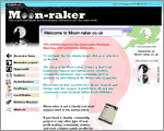 Professional web designer