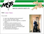 Professional web designer