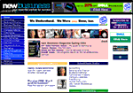 Professional web designer