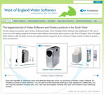 Professional web designer